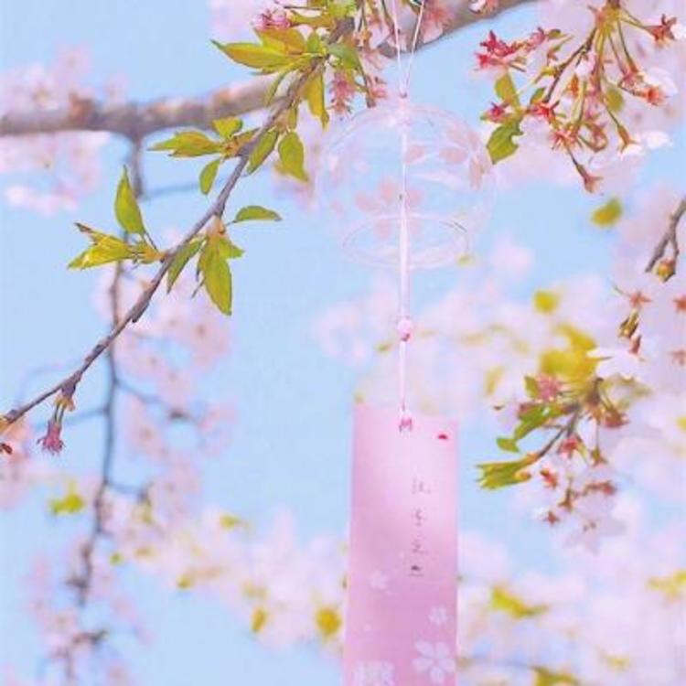 横山广行 - 独立电影小众在线观看 - 小程序直播